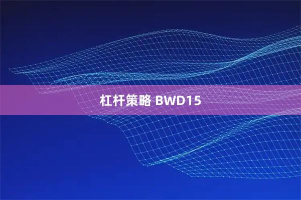 杠杆策略 BWD15