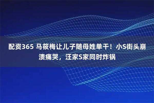 配资365 马筱梅让儿子随母姓单干!小S街头崩溃痛哭,汪家S家同时炸锅