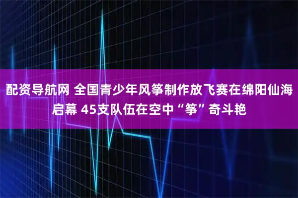 配资导航网 全国青少年风筝制作放飞赛在绵阳仙海启幕 45支队伍在空中“筝”奇斗艳
